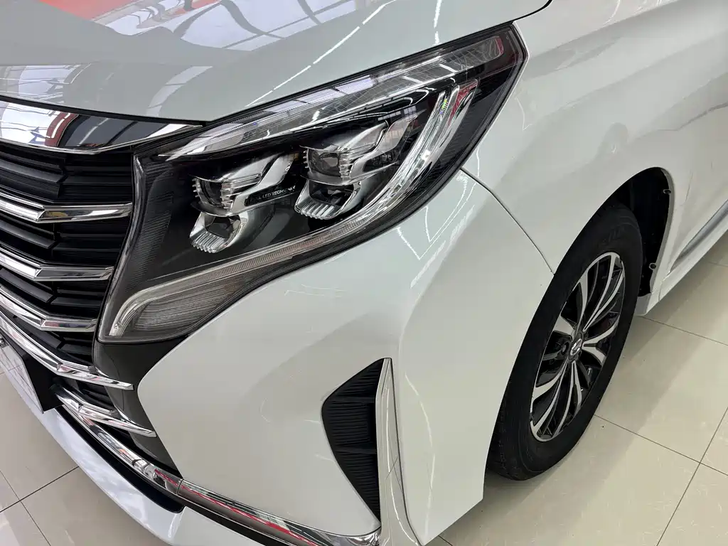 GAC Trumpchi M8 2024 — фото 4