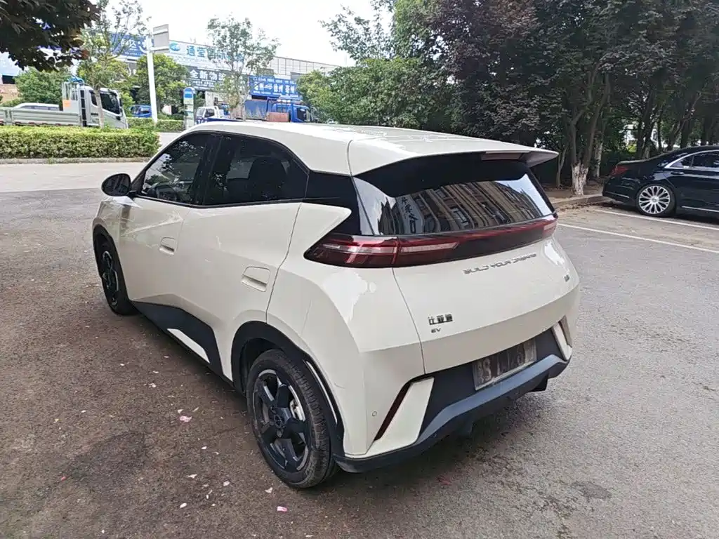 BYD Seagull 2024