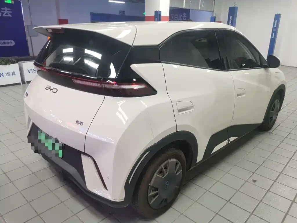 BYD Seagull 2024