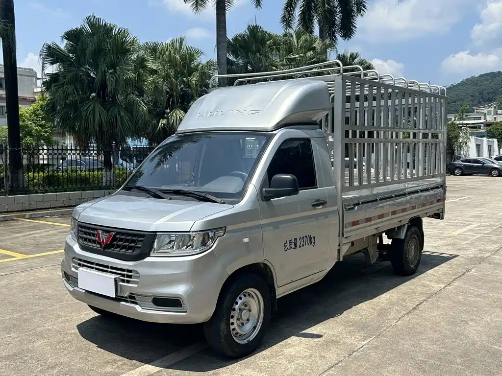 Wuling Rongguang New Card 2024