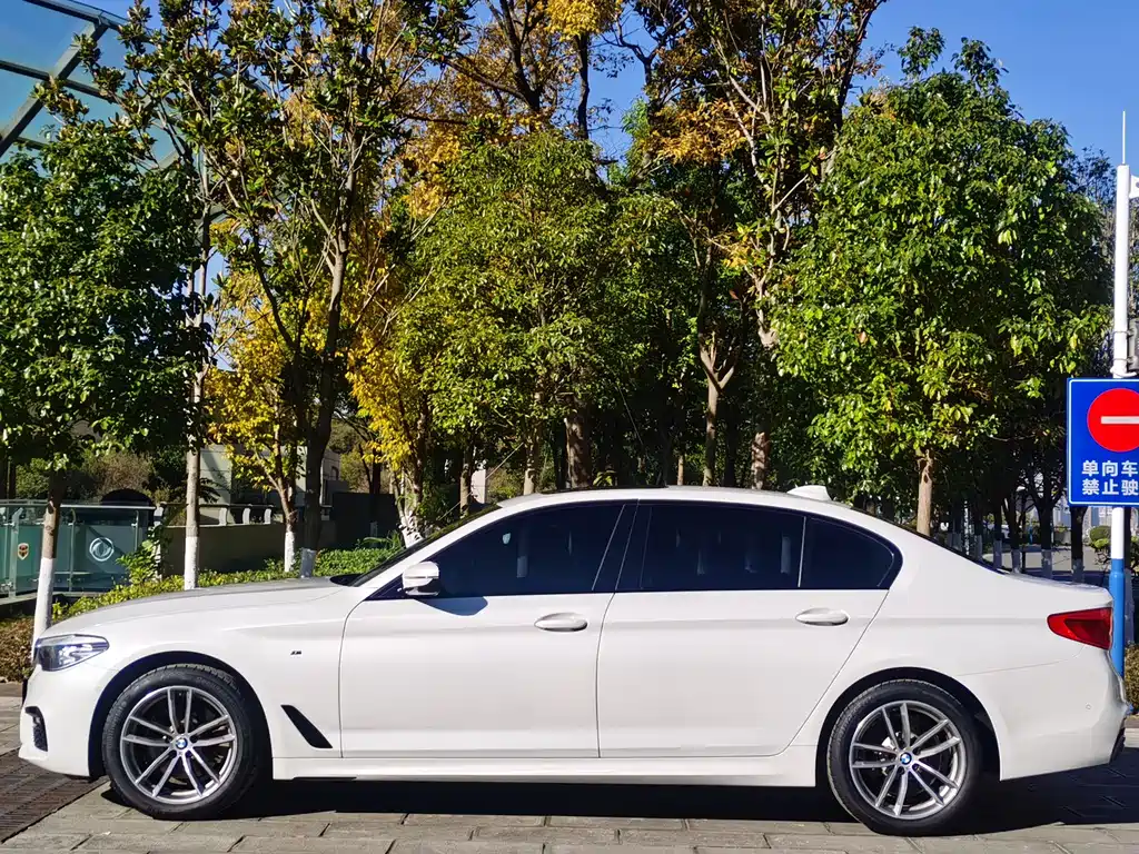 BMW 5 Series 2019 — фото 8