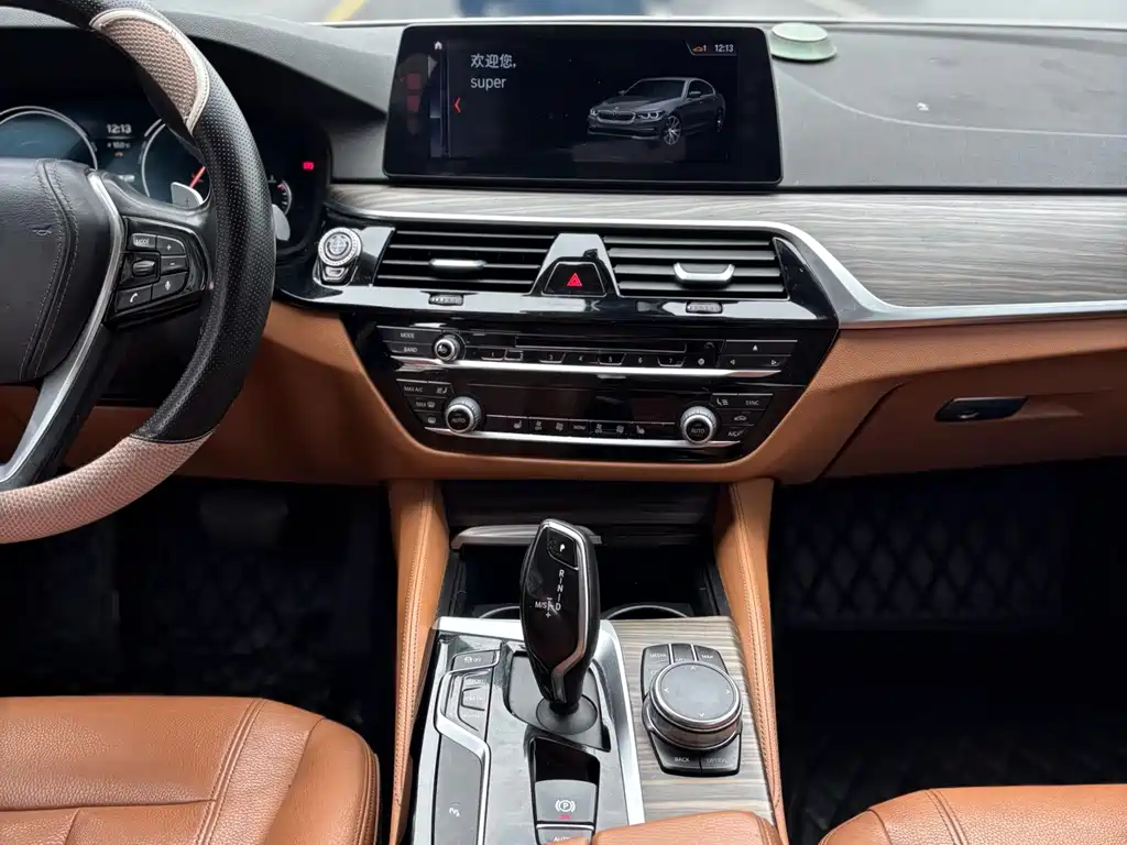 BMW 5 Series 2018 — фото 13