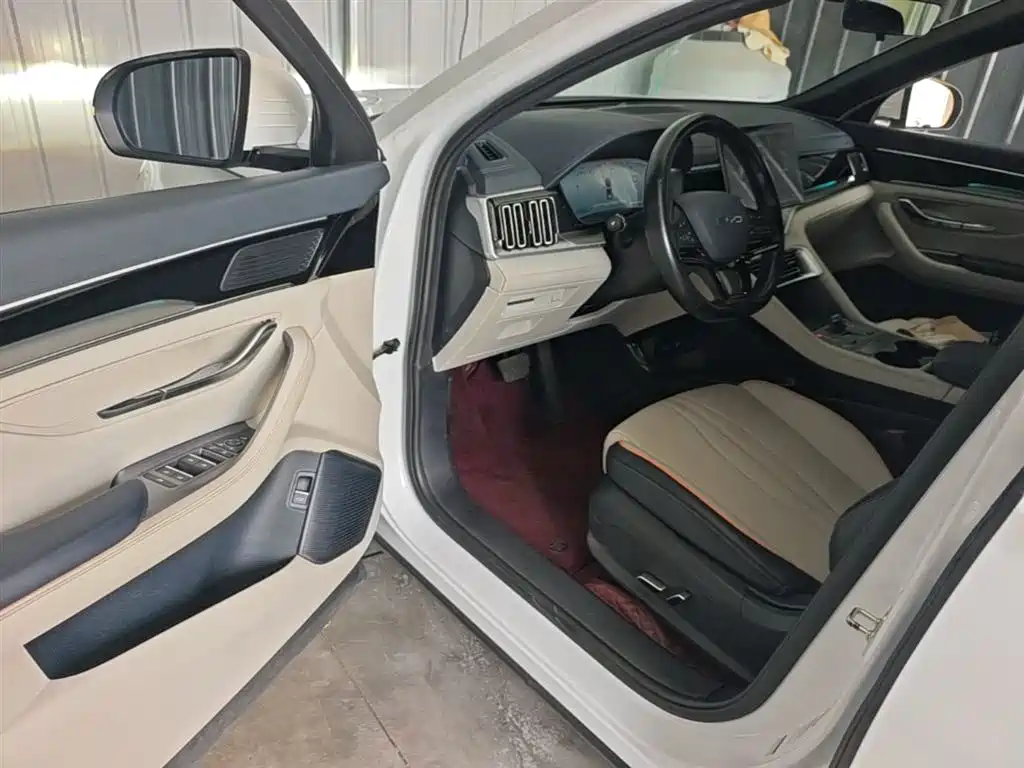 BYD PLUS New Energy 2024 — фото 16