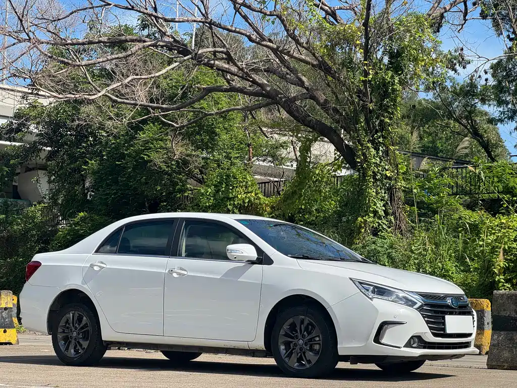 BYD Qin NEV 2018 — фото 2