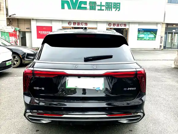 Hongqi E-HS9 2021