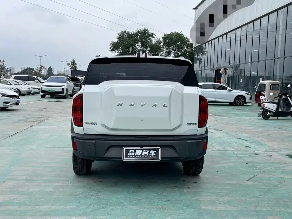 Haval Cool Dog 2023 — фото 15
