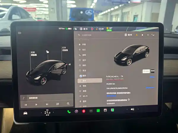 Tesla Model 3 2021