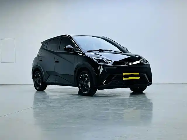 BYD Seagull 2024