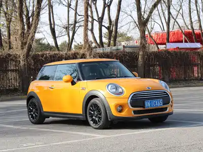 MINI MINI 2014