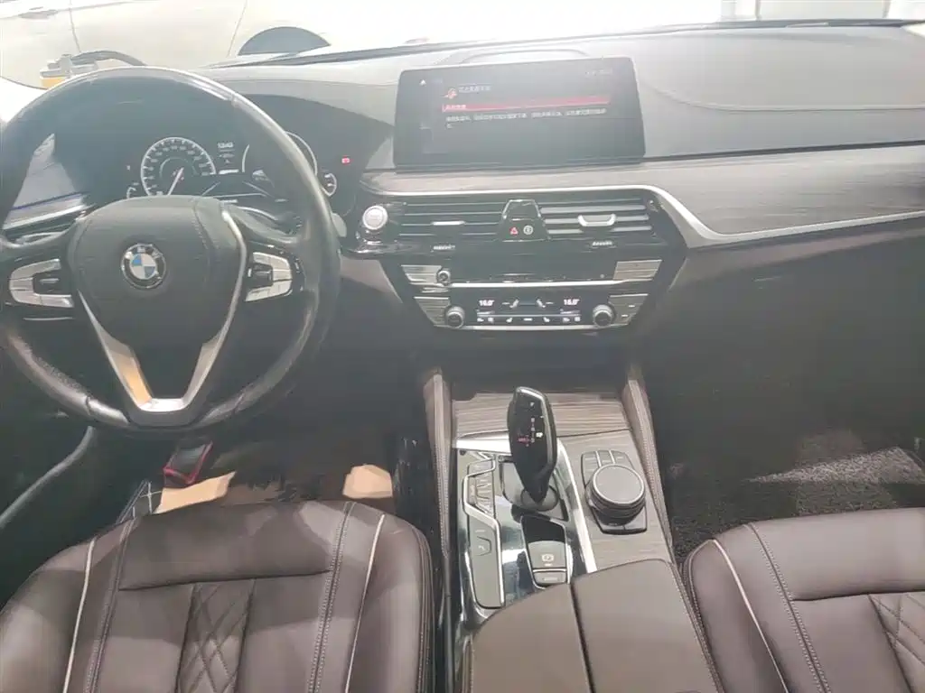 BMW 5 Series New Energy 2019 — фото 14