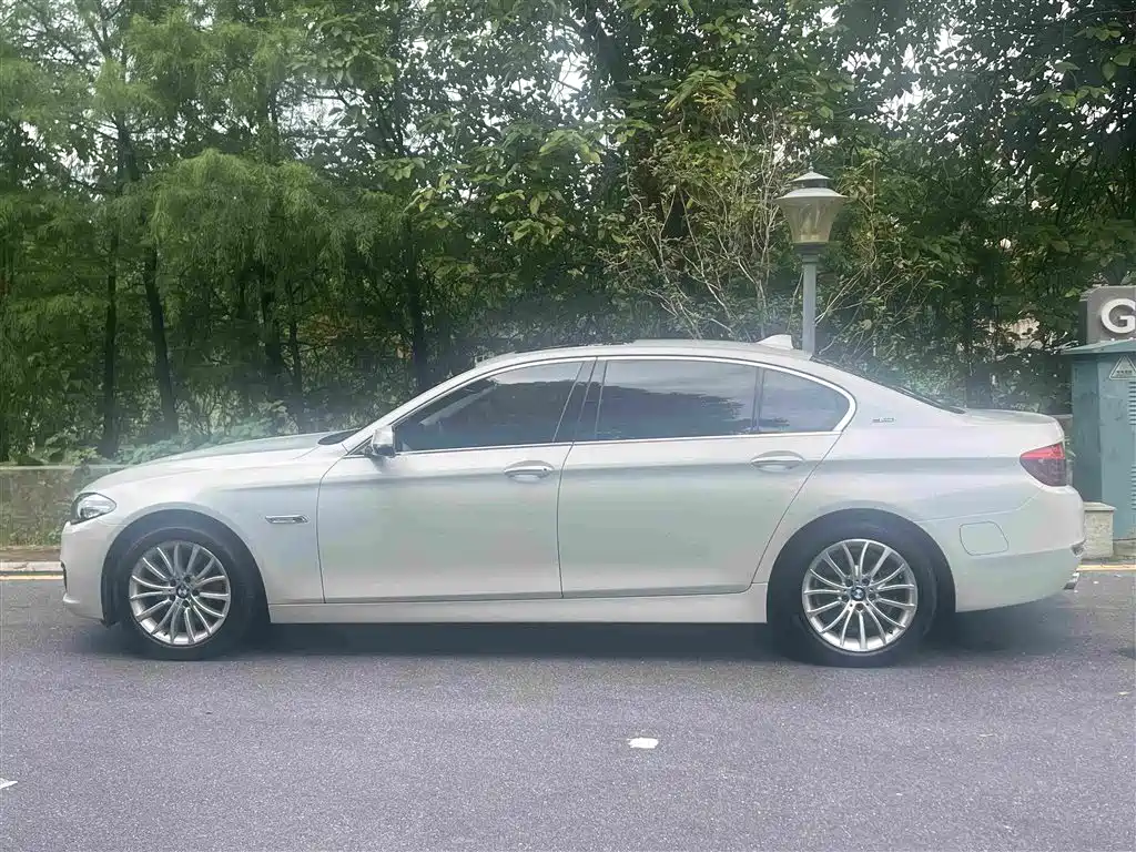 BMW 5 Series New Energy 2016