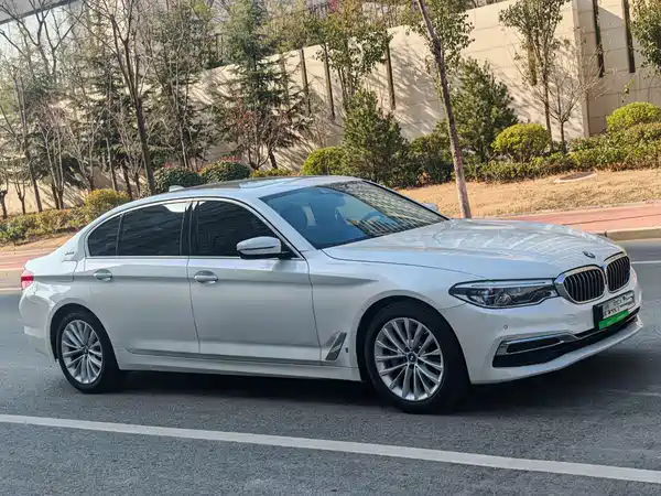 BMW 5 Series New Energy 2019
