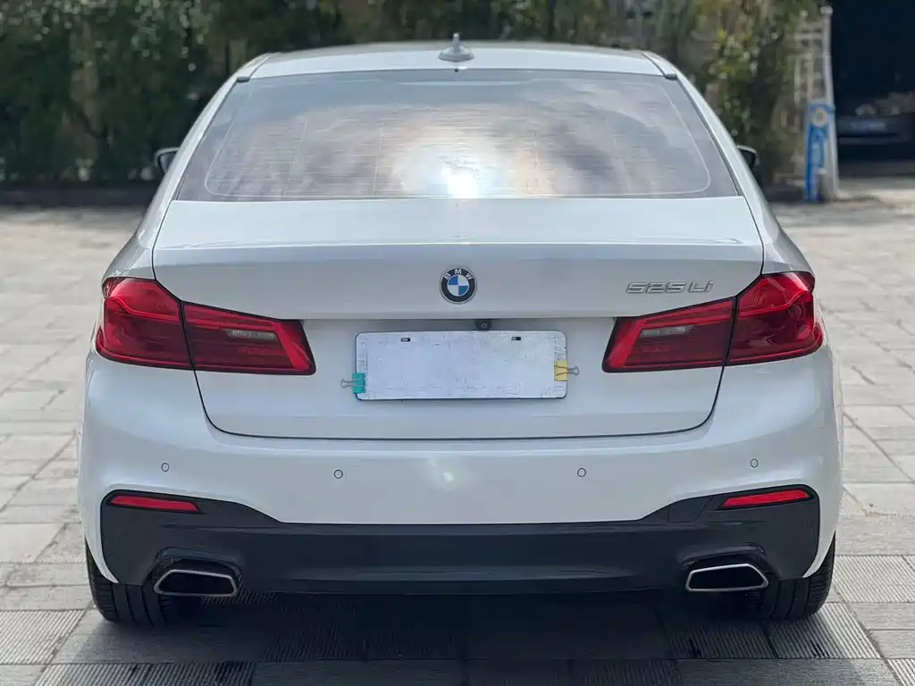 BMW 5 Series 2019