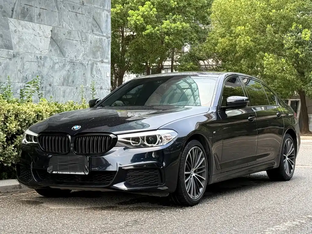 BMW 5 Series 2019
