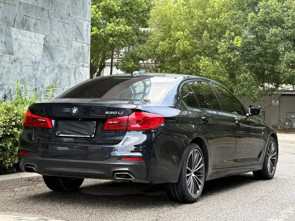 BMW 5 Series 2019