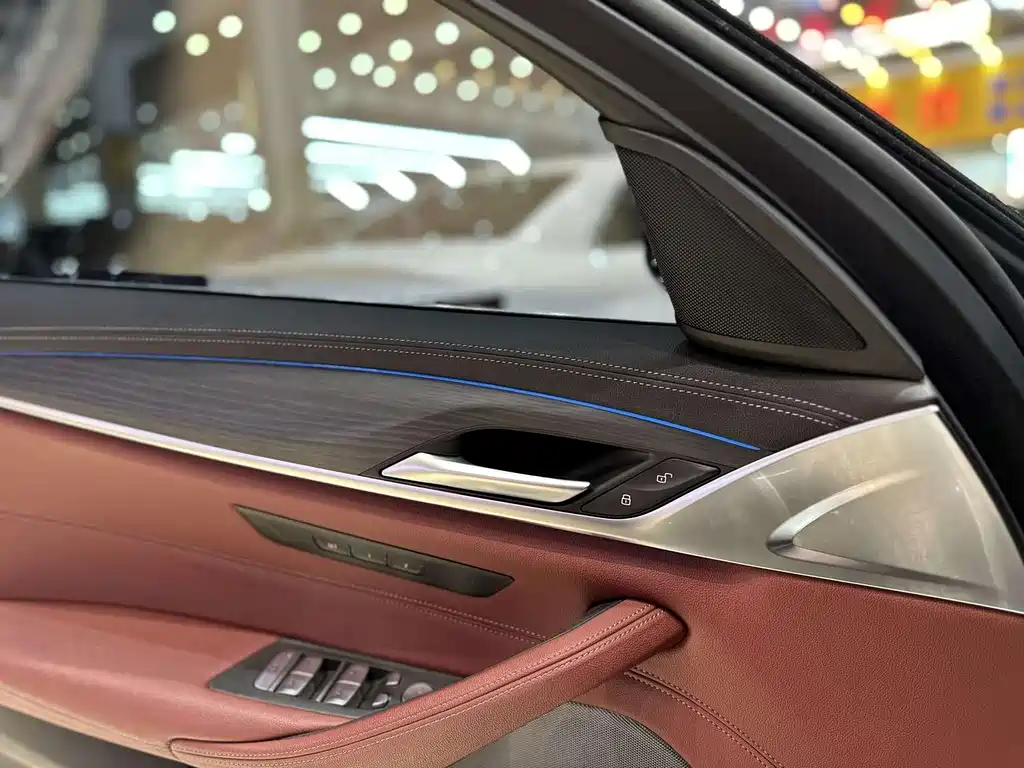 BMW 5 Series New Energy 2021