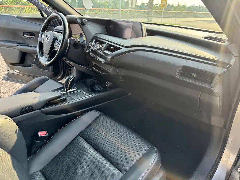 Lexus UX New Energy 2020 — фото 17