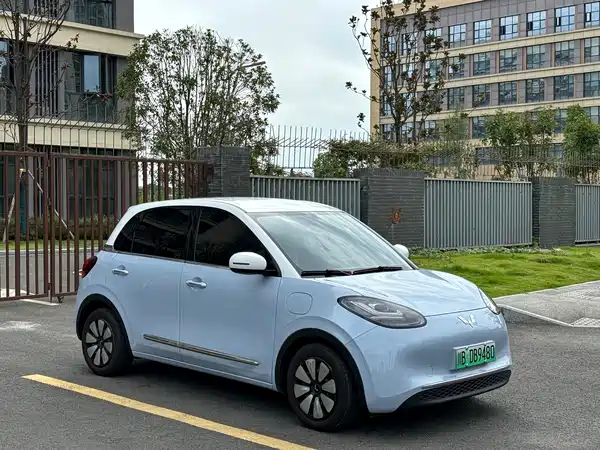 Wuling Bingo 2024
