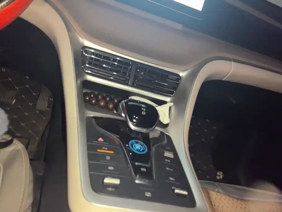 BYD Song Pro New Energy 2024 — фото 16
