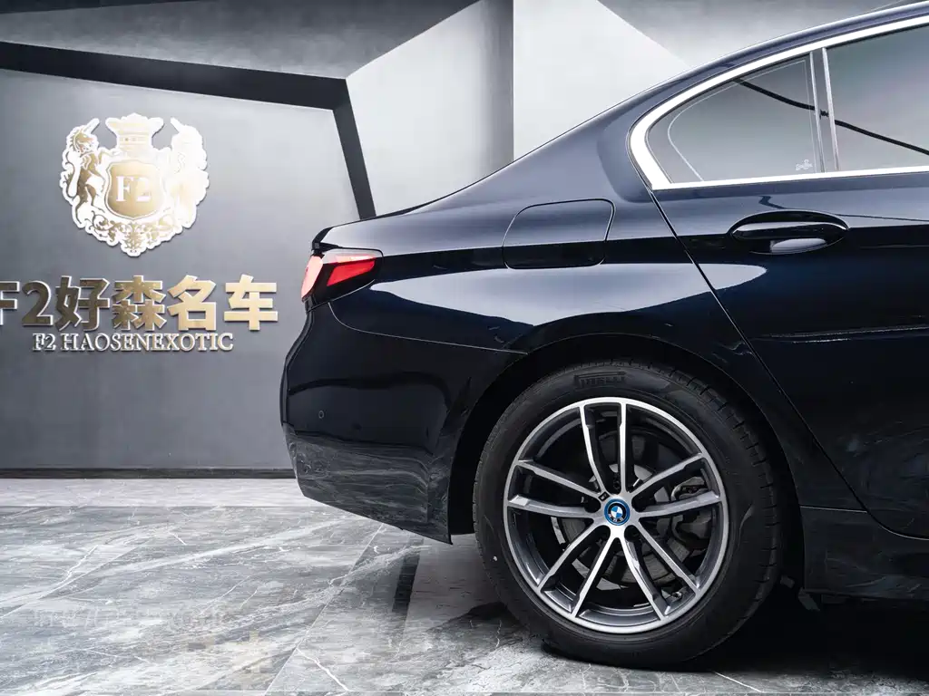 BMW 5 Series New Energy 2022