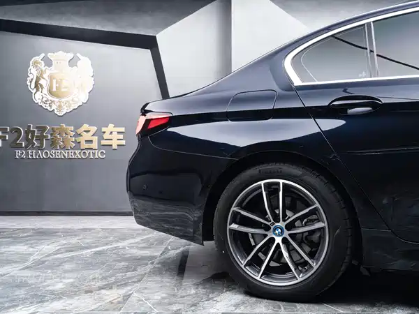 BMW 5 Series New Energy 2022