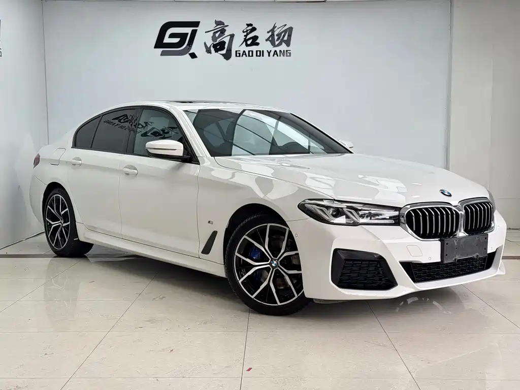 BMW 5 Series 2021