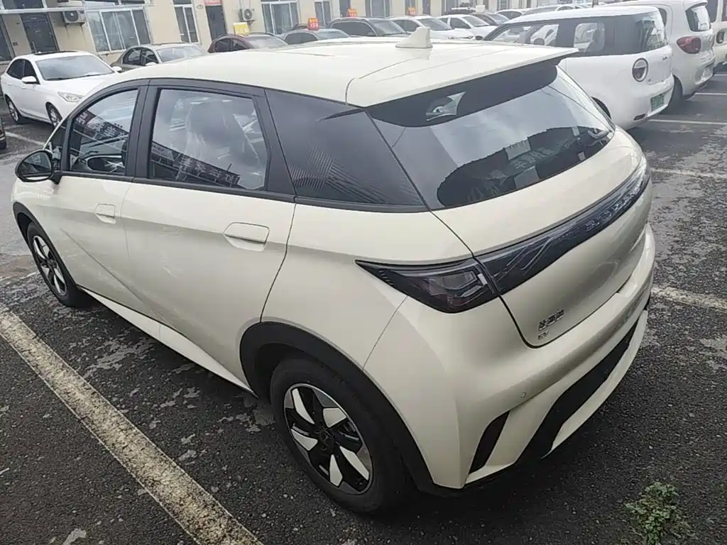 BYD Dolphin 2026