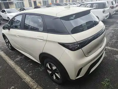 BYD Dolphin 2026