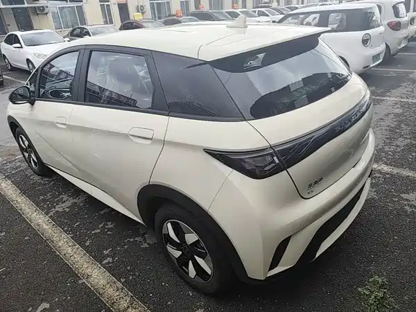 BYD Dolphin 2026