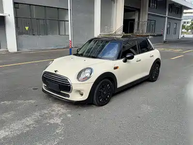 MINI MINI 2015