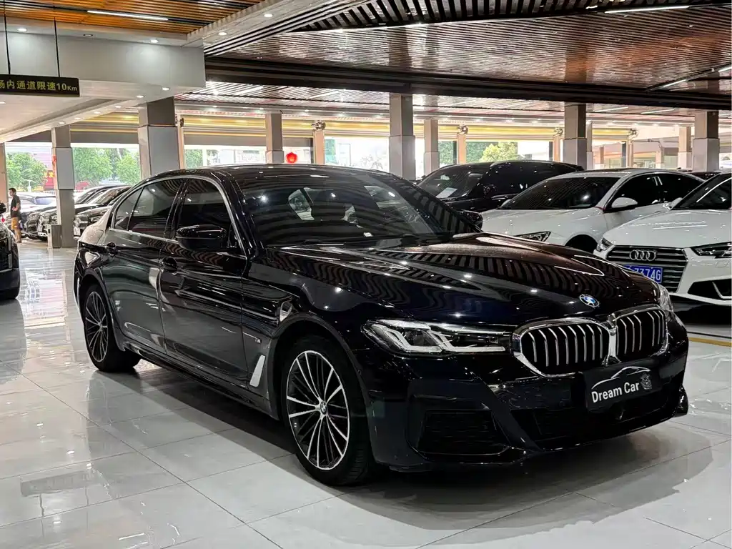 BMW 5 Series 2020