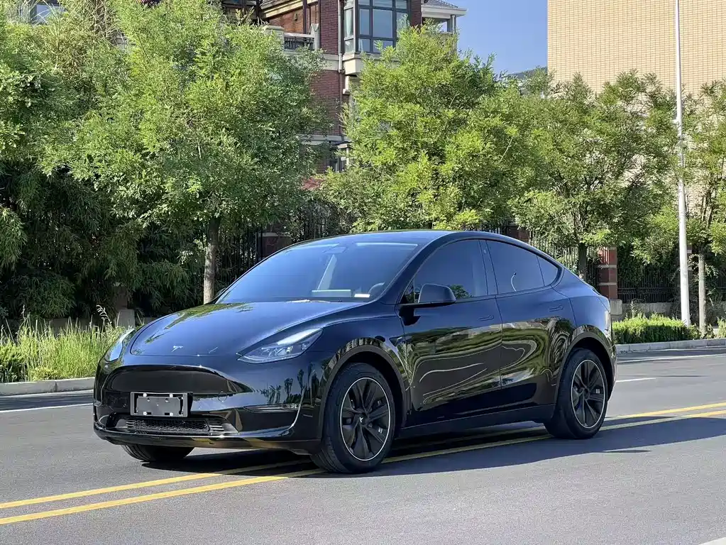Tesla Model Y 2021 — фото 12