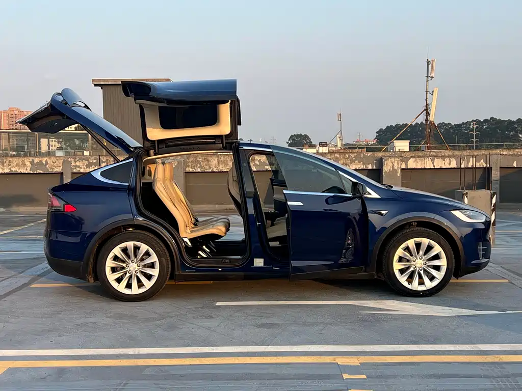 Tesla Model X 2017 — фото 23