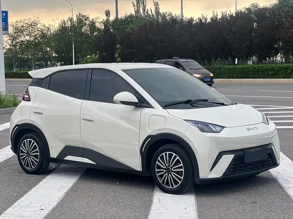 BYD Seagull 2024