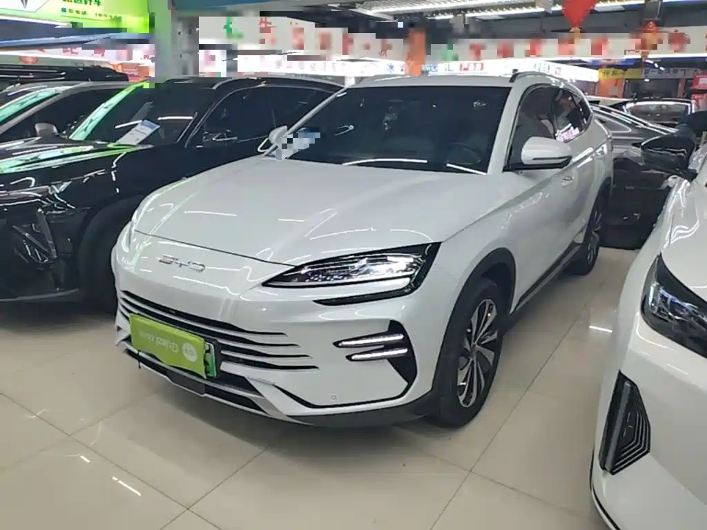 BYD PLUS New Energy 2024 — фото 2