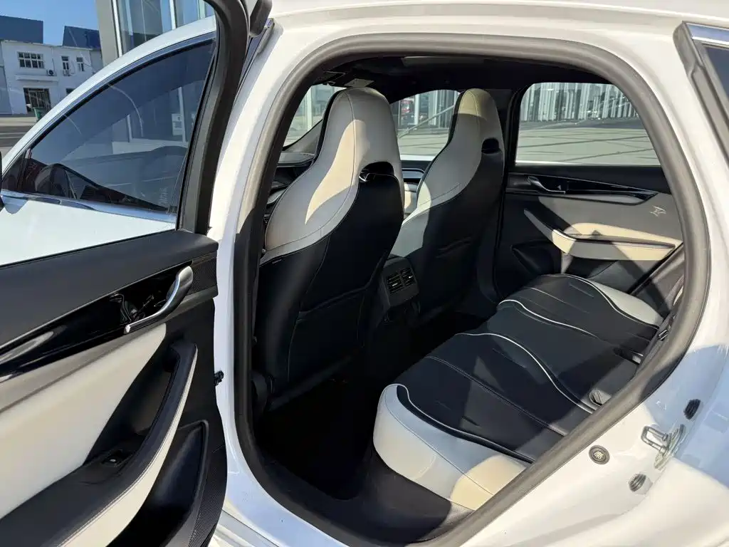 BYD Qin PLUS 2021 — фото 13