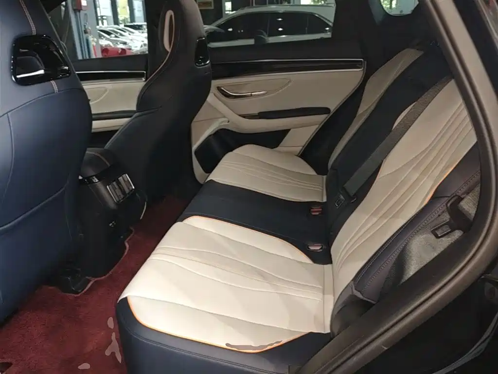 BYD PLUS New Energy 2024 — фото 17