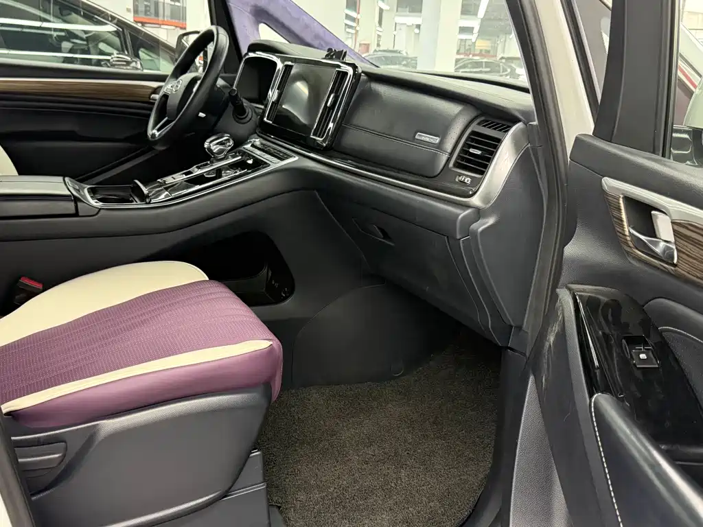GAC Motor Trumpchi M8 2022 — фото 9