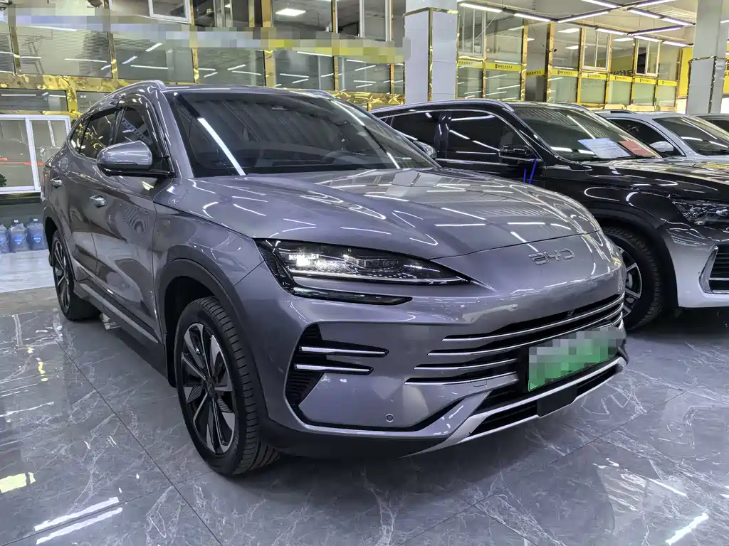 BYD PLUS New Energy 2024 — фото 3