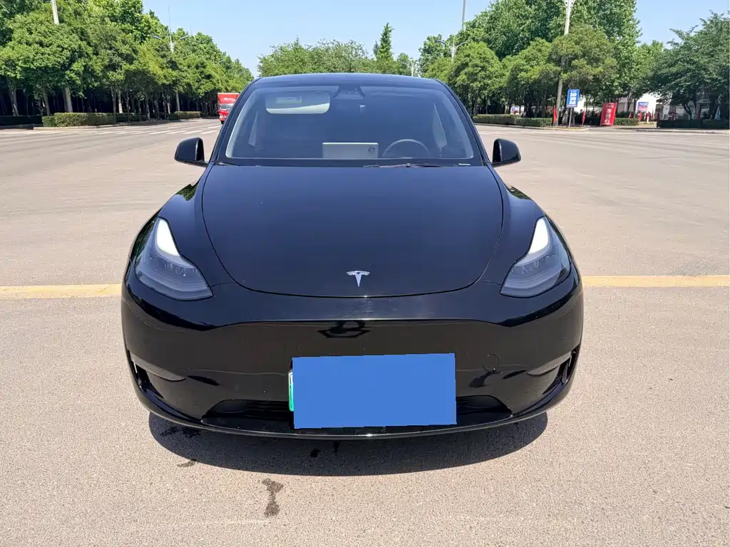 Tesla Model Y 2021 — фото 2
