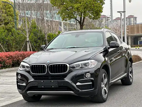 BMW X6 2015