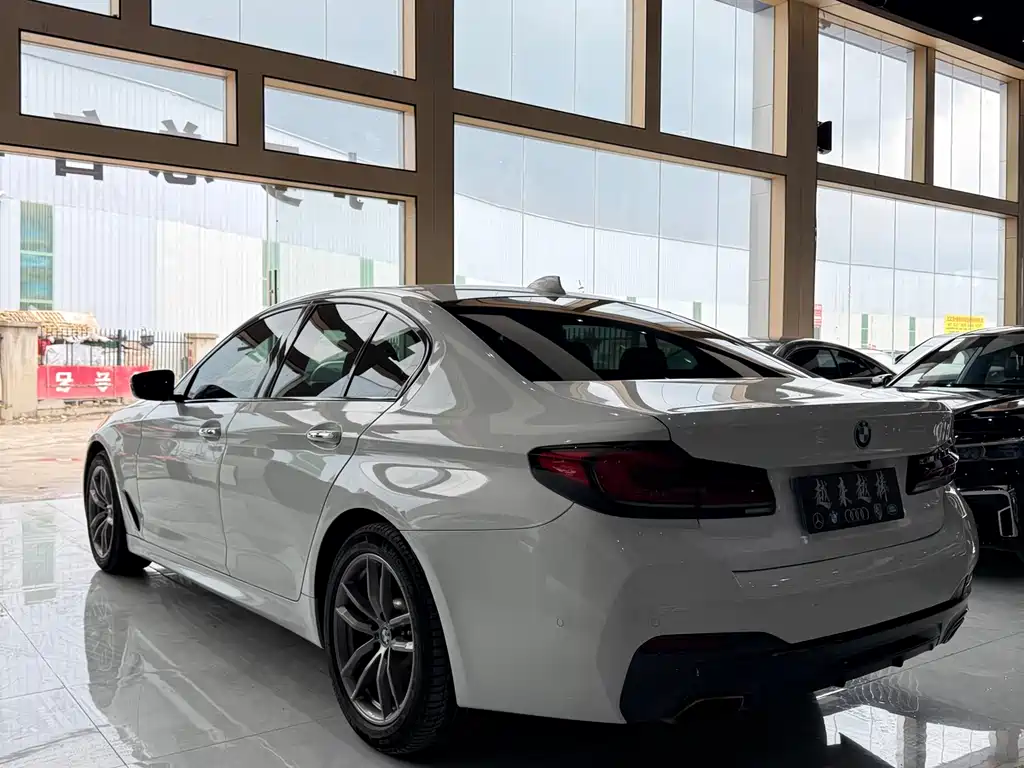 BMW 5 Series 2018 — фото 10