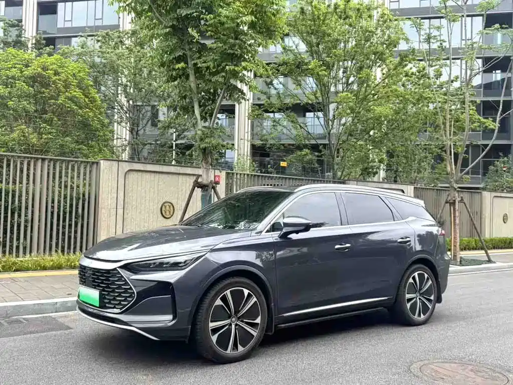 BYD Tang New Energy 2022 — фото 1
