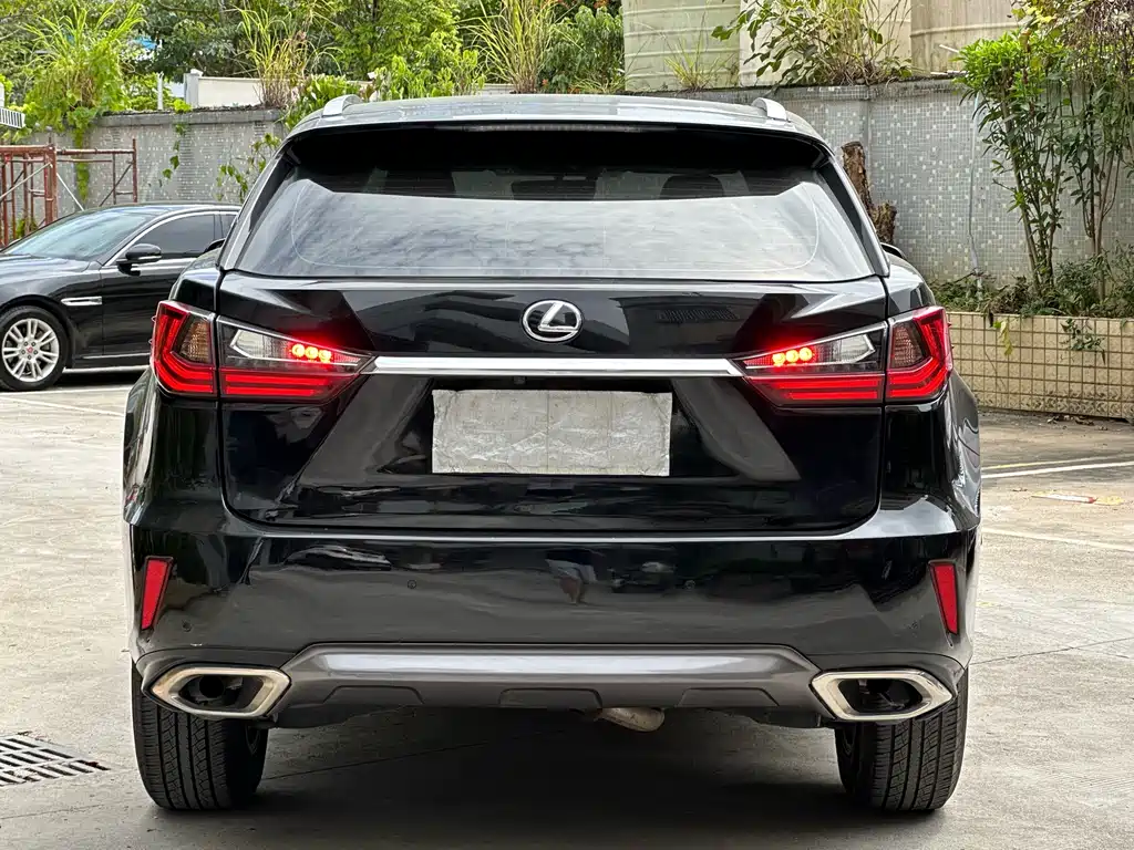 Lexus RX 2017 — фото 8