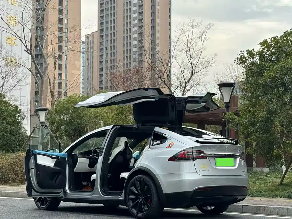 Tesla Model X 2016 — фото 9