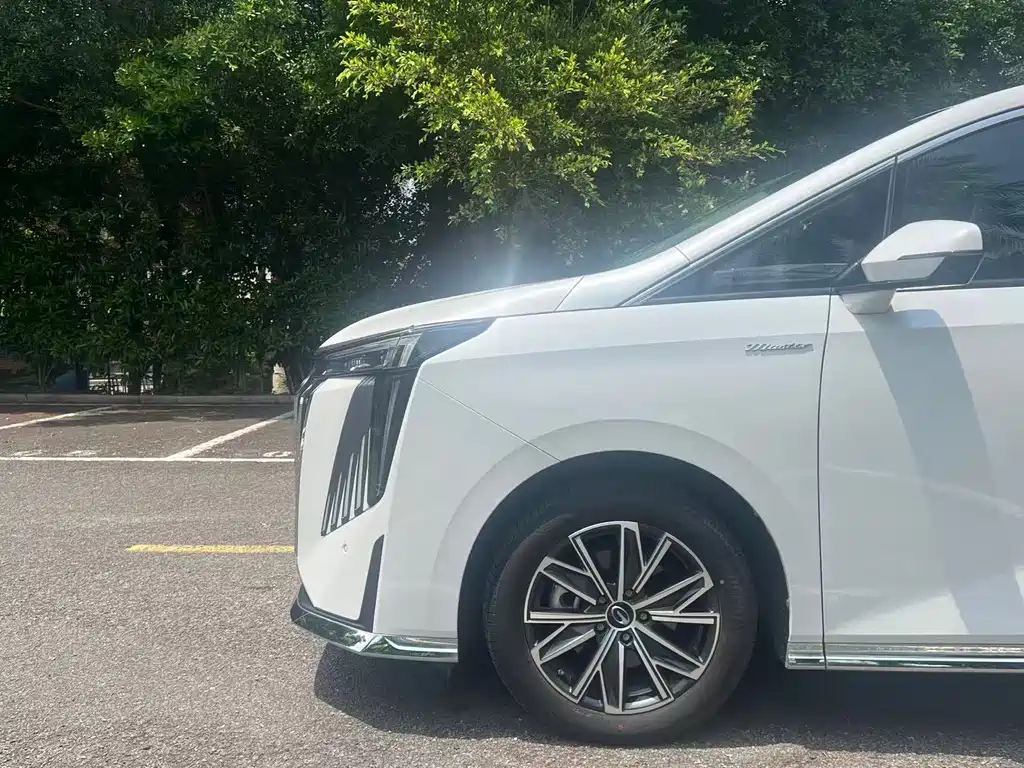 GAC Motor Trumpchi M8 2024 — фото 13