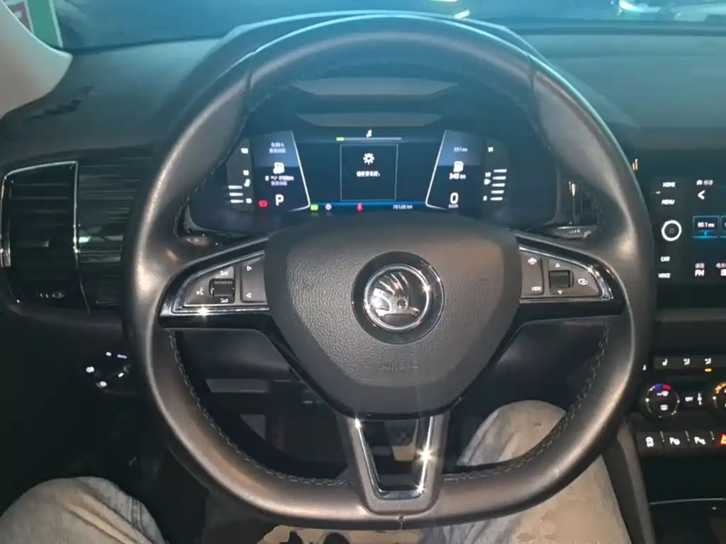 Skoda Kodiaq 2020 — фото 11