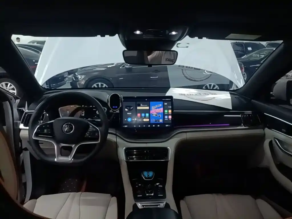 BYD Song PLUS New Energy 2022 — фото 18