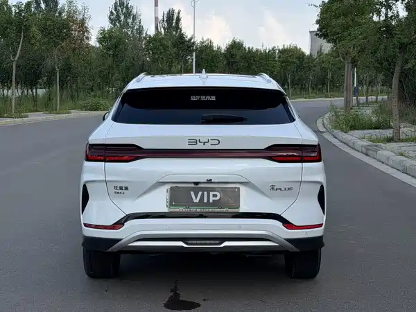 BYD Song PLUS New Energy 2024