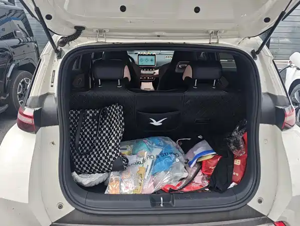 BYD Seagull 2024
